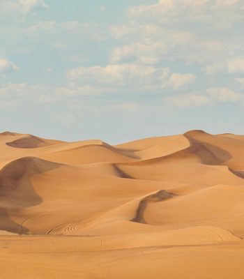 landscapre-desert-safari (1)